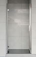 Душевая дверь Vincea Flex VDP-1F900CL 90x200 хром, прозрачное