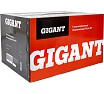 Бензиновая газонокосилка Gigant 48 см, 4 л.с., PLM-07