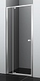 Душевая дверь WasserKRAFT Aula 11P12 100x200 хром