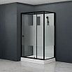Душевая кабина RGW AN-207B 80x120 черный профиль