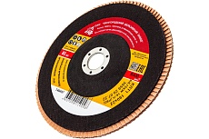 Круг лепестковый торцевой КЛТ-1 (180х22.2 мм; Р80) Россия 740697