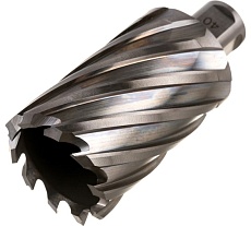 Сверло кольцевое (40х55 мм; HSS; Weldon 19) Euroboor HCL.400