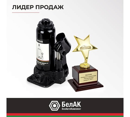 Домкрат 4 тонны в кейсе БелАК БАК.10041
