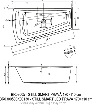 Акриловая ванна Riho Still Smart Plug&Play 170x110 см R с монолитной панелью