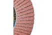 Диск лепестковый (115х22 мм; Р60) Karbosan KAR-981220