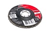 Круг лепестковый Professional 125х22.2 мм, P60, цирконий Gigant GNT-P60