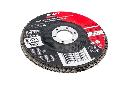 Круг лепестковый Professional 125х22.2 мм, P60, цирконий Gigant GNT-P60