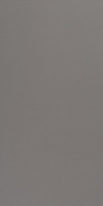 Плитка Atlas Concorde Arkshade Deep Grey 40X80 см, 8AKE