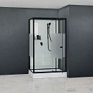 Душевая кабина RGW AN-207B 80x120 черный профиль