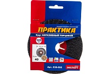 Круг абразивный торцевой (125 мм; Р40) Практика 038-692