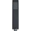 Душевая лейка Allen Brau Infinity 5.21022-31 черный матовый