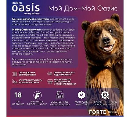 Автоматическая насосная станция Oasis ST 60/42Р – 24