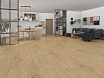 SPC ламинат Alpine Floor Premium XL Дуб Вега 1800x229x8 мм, ECO 7-29 ABA New