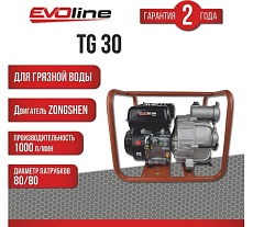 Мотопомпа бензиновая Evoline TG 30 (произведено Zongshen) 1T90STG30EVO