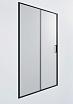 Душевая дверь Timo TD-120/03F-6 120x195 матовое, черный