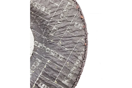 Диск шлифовальный по металлу (115х6.4х22 мм) Karbosan KAR-910550