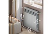 Радиатор Royal Thermo BiLiner 500/Silver Satin - 8 секц. НС-1176319