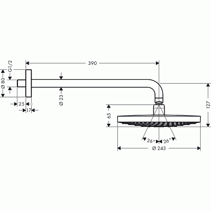 Верхний душ Hansgrohe Raindance Select S240 26466400 хром/белый