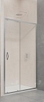Душевая дверь RGW Passage PA-016 180x195, прозрачное, хром
