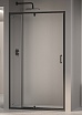 Душевая дверь RGW Passage PA-008B 110x195, прозрачное, черный 350800812-14