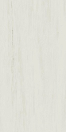 Керамогранит Atlas Concorde Marvel Stone Bianco Dolomite Lappato 45x90 см, AZRU