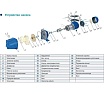 Центробежный насос AquamotoR ARJET 60-1 AR152009