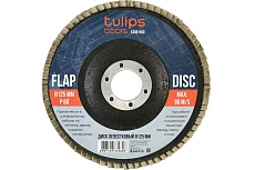 Диск лепестковый (125х22.2 мм; Р60) Tulips Tools EA06-860