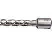Сверло кольцевое (12х55 мм; HSS; Weldon 19) Euroboor HCL.120