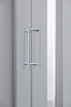 Душевая дверь SSWW LD60-Y22 110x195 профиль серебро