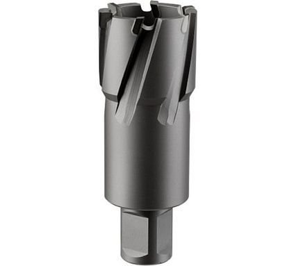 Фреза кольцевая TCT (38x55 мм; Weldon 19) Rotorica RT.4225038