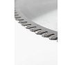 Основной пильный диск BeWorker 300x30x3.2/2.2 Z96 HW TR-F TL51499