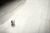 Керамогранит Marazzi Italy Allmarble Altissimo Rett. 60х60 см, MMGM