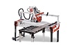 Камнерезный станок Raimondi ZOE 130 420130А P