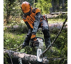 Бензопила Stihl MS 462 шина R 45 см, цепь 36 RS 1142-200-0107P