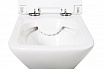 Подвесной унитаз BelBagno Romano BB248CHR