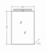 Зеркальный шкаф Санта Стандарт 113015 50 см со светильником