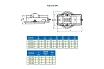 Станочные тиски Griff 100мм, 14кг, поворотные, прецизионные, серия QM16 b241301