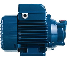 Насос Pedrollo PV 55 - EPDM 41PNV55A