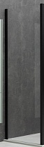 Боковая стенка Allen Brau Priority 100x200 см 3.31021.BBA прозрачная, черный браш