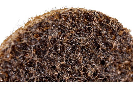 Шлифовальный круг DIABLO R-TYPE SCB COARSE 50 мм ABRAFORM RTYPE-SCB-COARSE-50