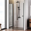 Душевая дверь Am.Pm Sunny W87G-120-1P-BT 120x190 прозрачное, черный матовый