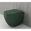 Крышка-сиденье Bocchi Taormina/Jet Flush/Parma A0300-027 с микролифтом, зеленый