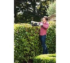 Бензиновый кусторез Ryobi RHT25X55R 5133003670