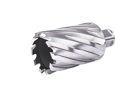 Фреза кольцевая №34 (40х55/88 мм; WELDON19; HSS M2) Профоснастка 40101034