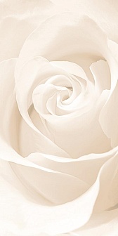 Декор Cersanit Effecta бежевый 29,8x59,8 см, EC2L011