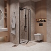 Душевая дверь Niagara Nova 90x195 прозрачное, черный матовый NG-85-9AB