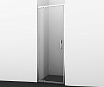 Душевая дверь WasserKRAFT Berkel 48P12 100x200