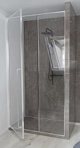 Душевая дверь Радомир Дарья BO 120х220 см прозрачная, хром, левая 1-63-2-1-0-356