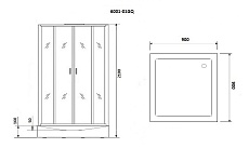 Душевая кабина Niagara Premium NG- 6001-01GQ 90x90