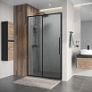 Душевая дверь Niagara Nova 100x195 шиншилла, черный матовый NG-84-L10CHB
